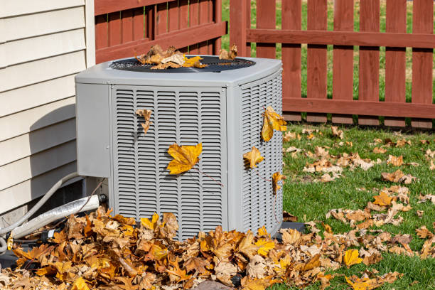 Best HVAC Air Duct Cleaning  in St Hedwig, TX